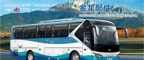 汽車火花塞市場分析 廠家、經(jīng)銷商、維修廠地址、價(jià)格及北邁網(wǎng)汽后通在小微型客車領(lǐng)域的應(yīng)用